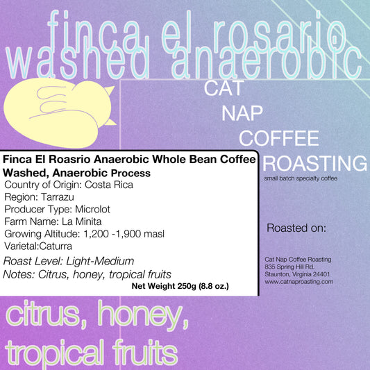 Costa Rica Finca El Rosario Washed Anaerobic