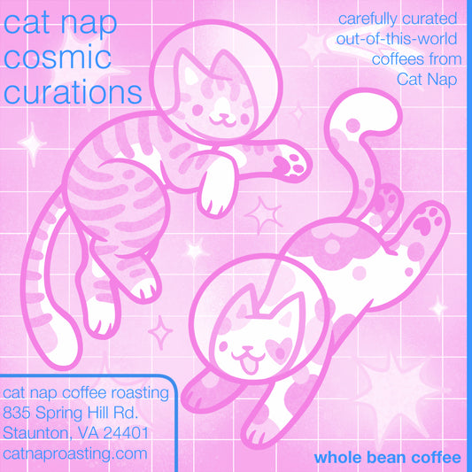 Cat Nap Coffee Subscription - Cosmic Curations (Monthly)